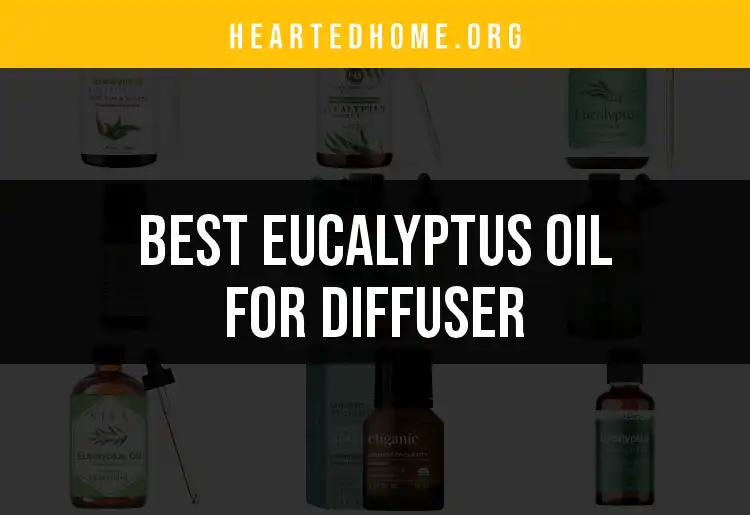 14 Best Eucalyptus Oils for Your Diffuser: Our Top Picks