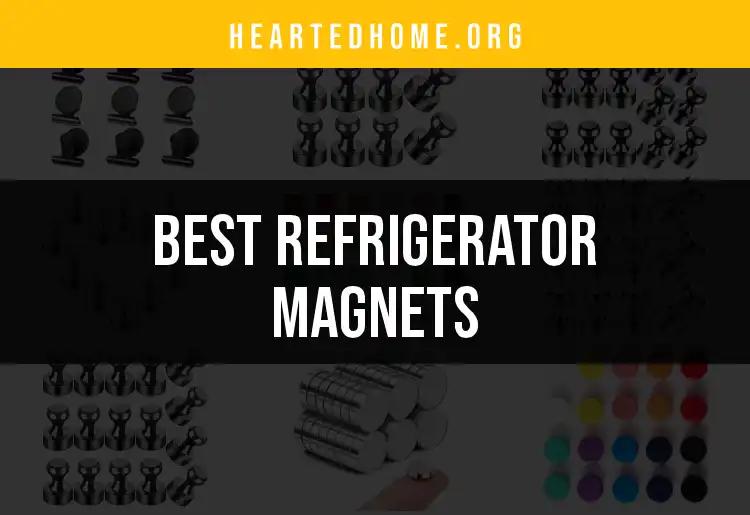 13 Must-Have Refrigerator Magnets for Your Kitchen Decor