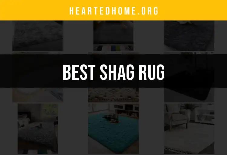 11 Stunning Shag Rugs That Will Transform Your Space