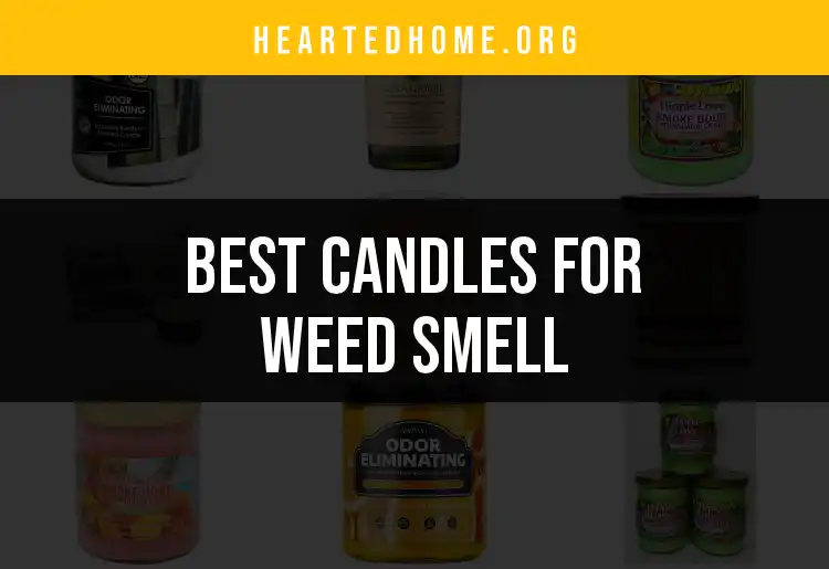 15 Best Candles for Weed Smell That Eliminate Odor featured