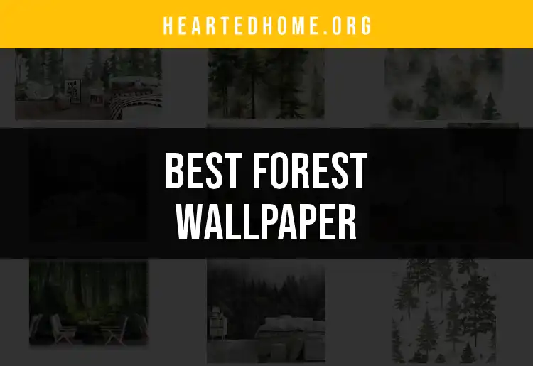 10 Stunning Forest Wallpaper Options to Transform Your Space
