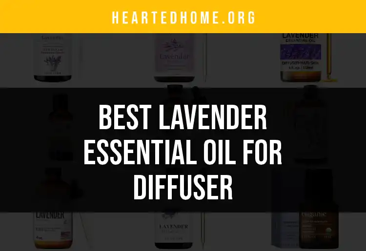 16 Delightful Lavender Essential Oils for Your Diffuser featured