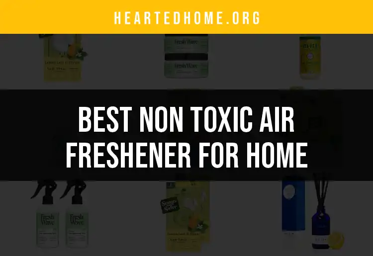 17 Non Toxic Air Fresheners for a Fresh and Safe Home