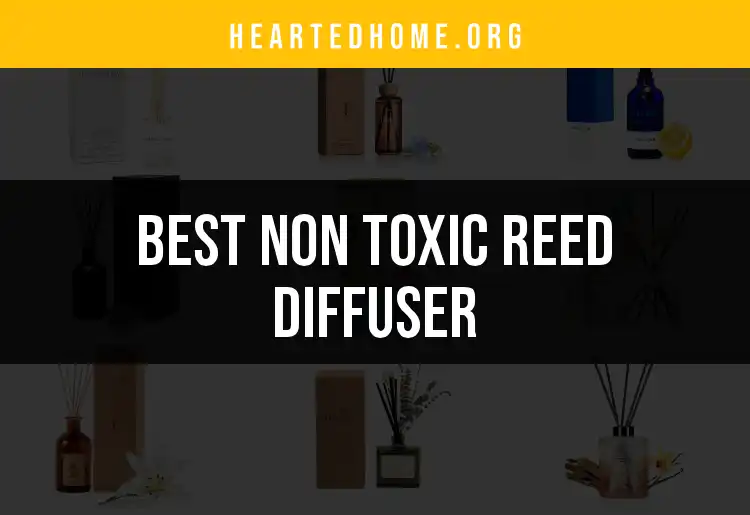 16 Non Toxic Reed Diffusers for a Fresh Home Atmosphere featured